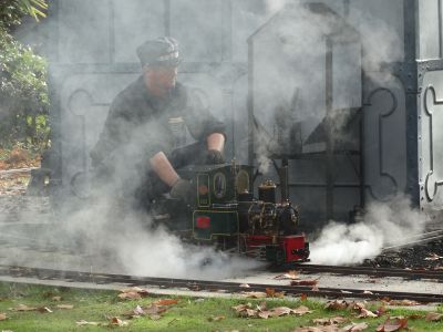 El vapor de la locomotora y el humo de la olla ferroviaria dejaron imágenes como esta