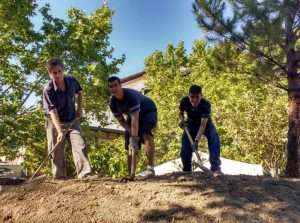 Aplanando la cumbre