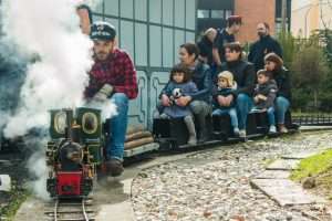 La locomotora Alicia remolca una rama de "Navarros" durante el 32º A Todo Vapor!!