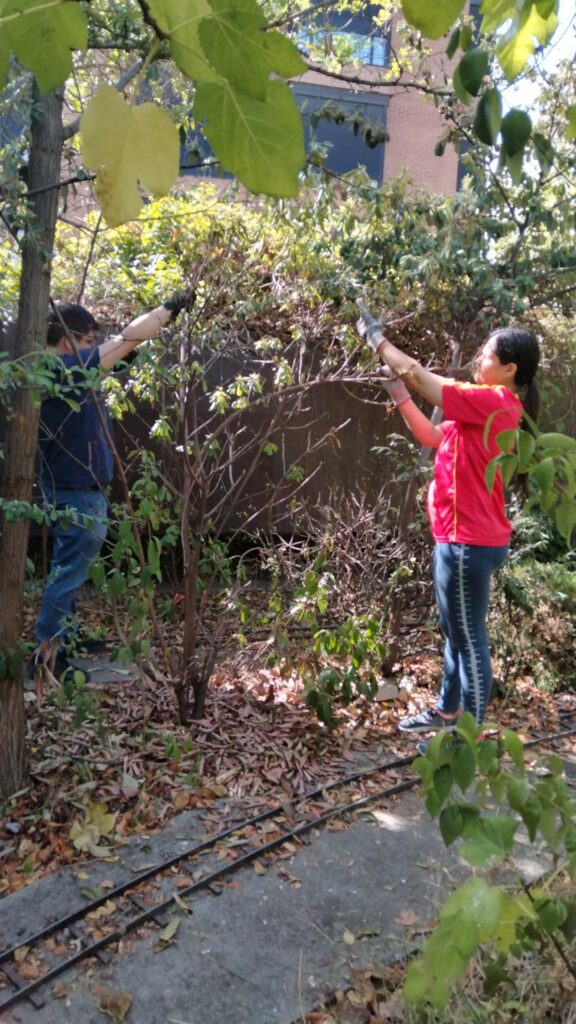 Obras 2023: trabajos de jardinería